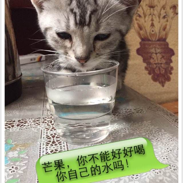刻章怎么买高仿